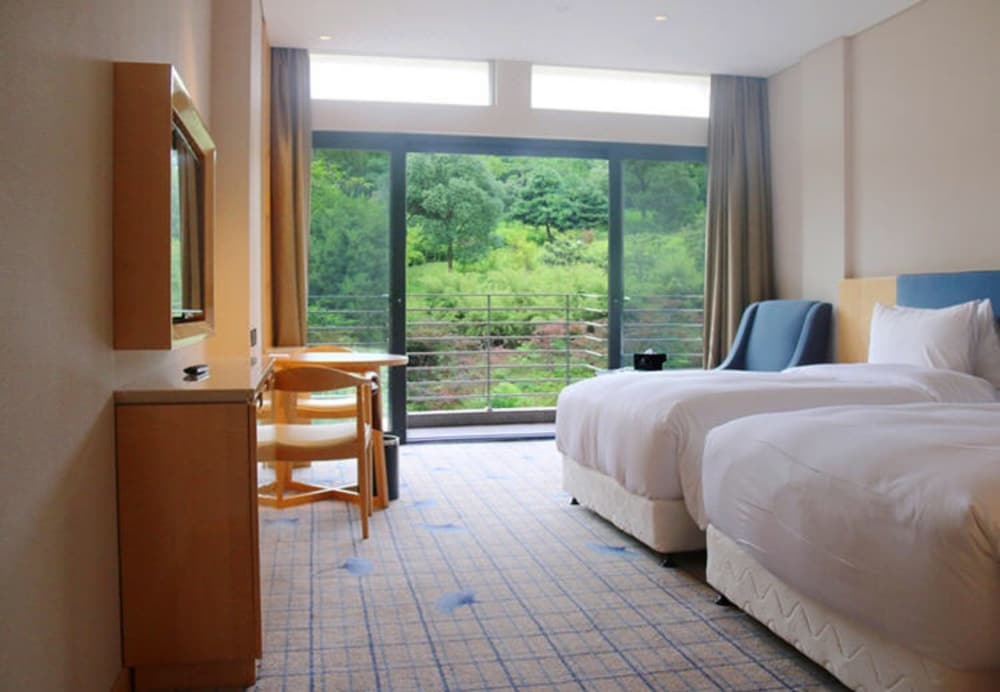 Deluxe Twin Room photo 1