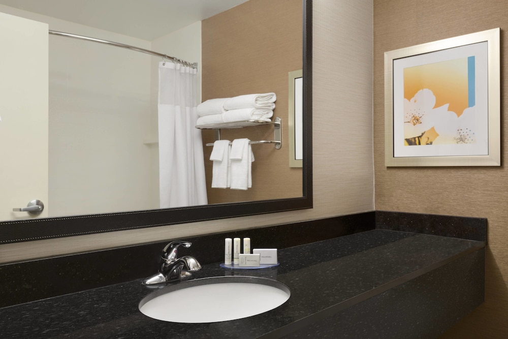 Room, 1 King Bed (Mobility/Hearing Access, Roll-In Shwr) - Photo 4