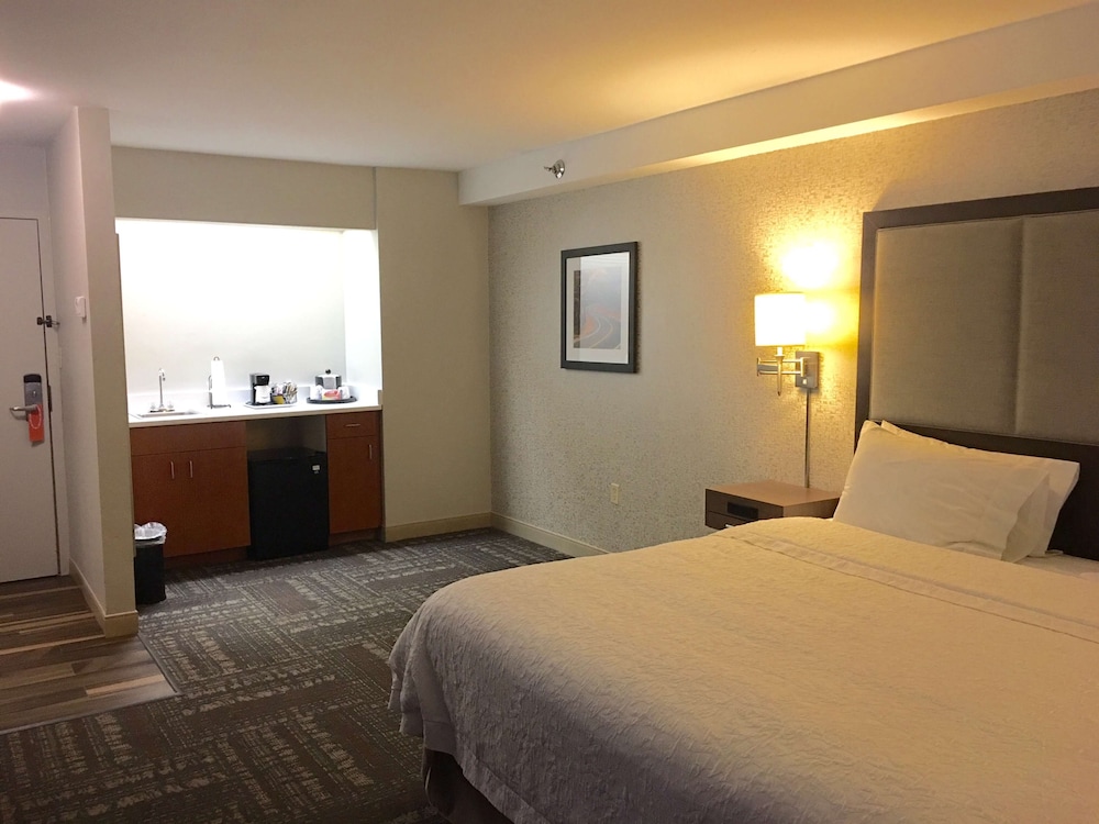 Suite, 1 King Bed, Non Smoking, Fireplace, photo 6