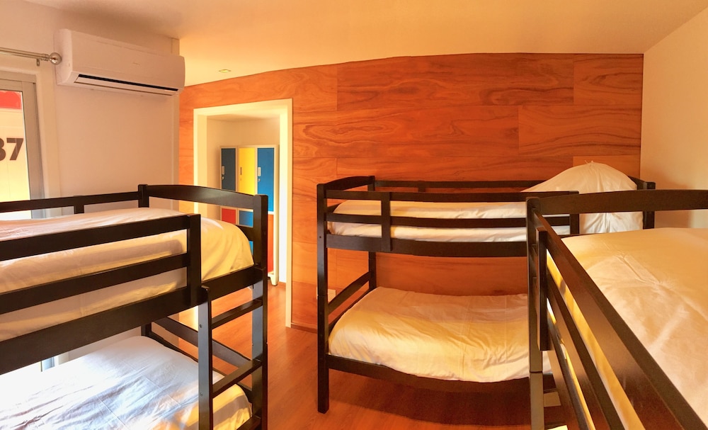 Shared Dormitory photo 2