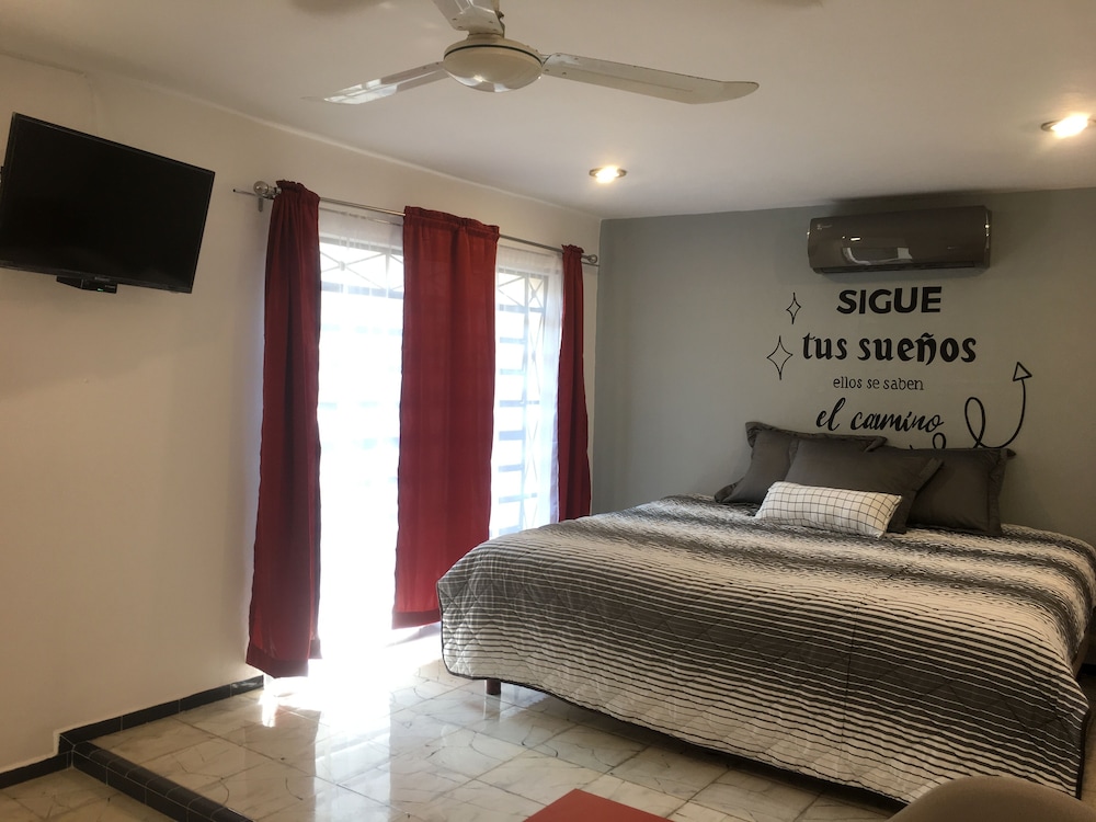 Junior Studio Suite photo 1