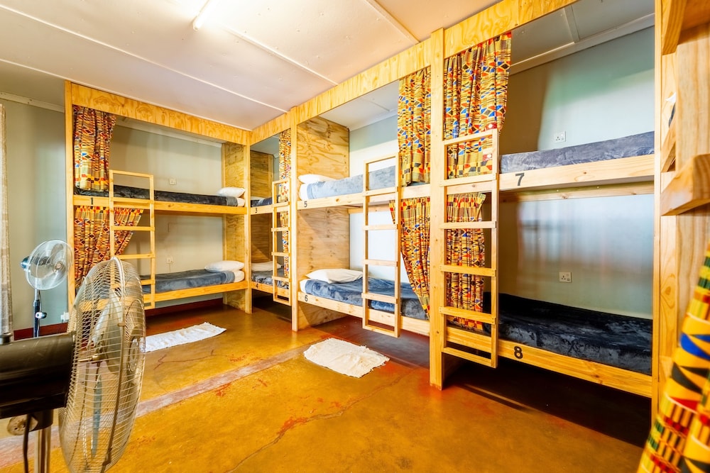 Standard Shared Dormitory photo 3