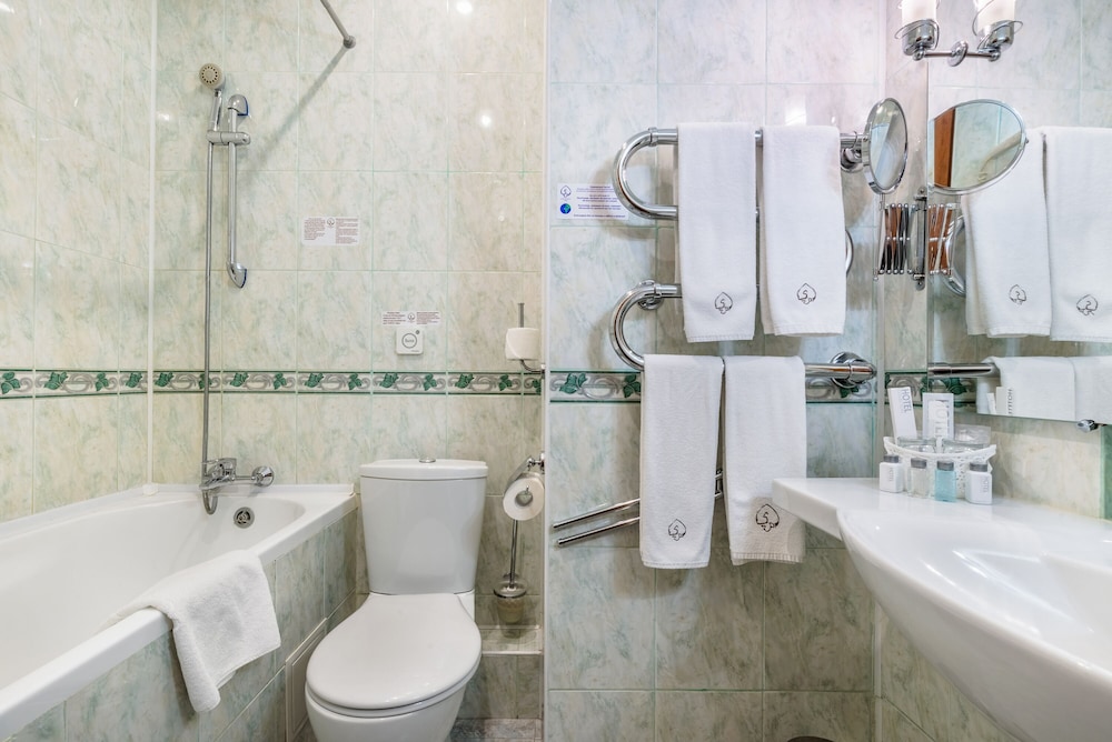 Business Double Room photo 3