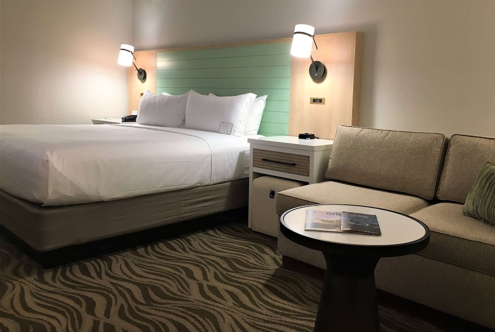 Room, 1 King Bed, Accessible (Mobility, Roll-In Shower) (Exterior Entry) photo 1
