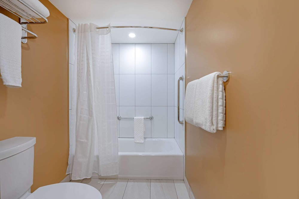 Suite, Multiple Beds, Non Smoking, Refrigerator & Microwave (with Sofabed) - Photo 7