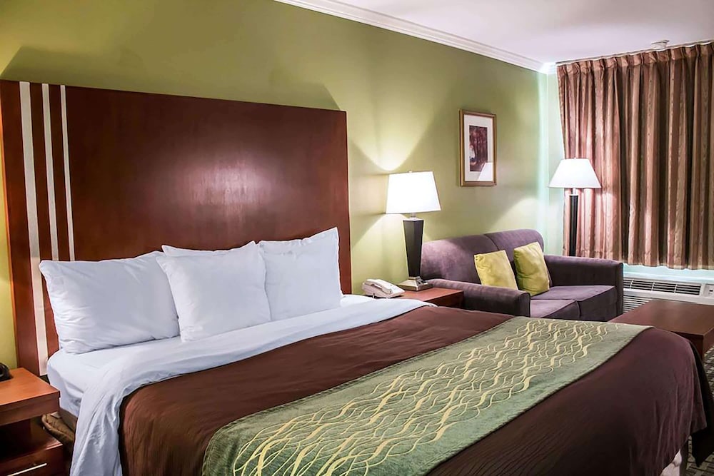 Suite, 1 King Bed, Non Smoking - Photo 1