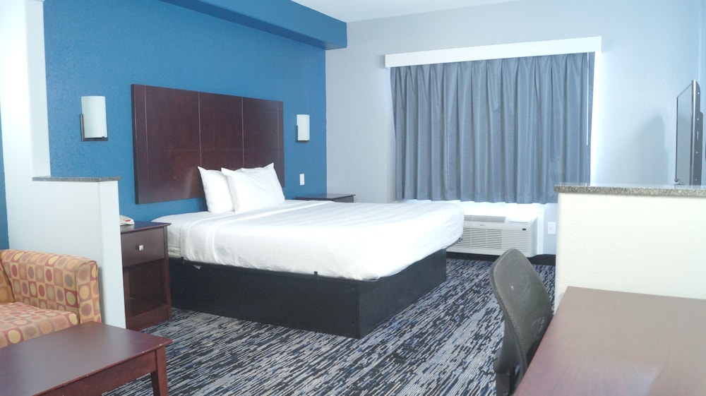 Suite, 1 King Bed photo 1