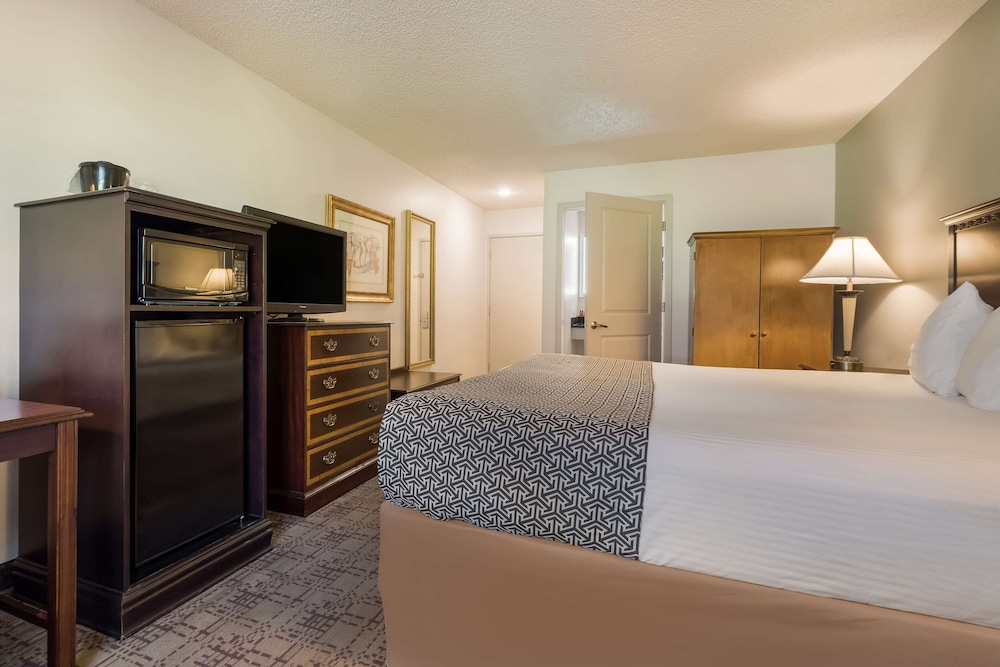 Standard Room, 1 King Bed, Accessible, Refrigerator & Microwave photo 2