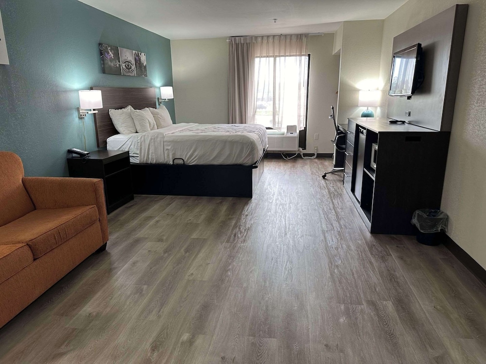 Business Room, 1 King Bed, Accessible, Non Smoking - Photo 8