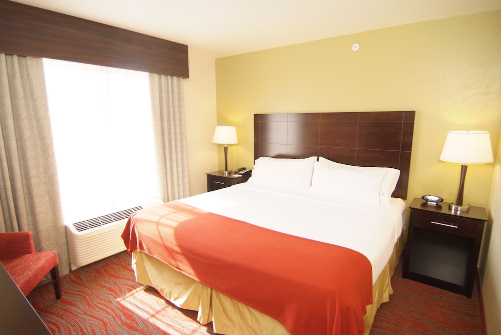 Standard Room, 1 King Bed with Sofa bed, Accessible (Mobility, Accessible Tub) - Photo 6
