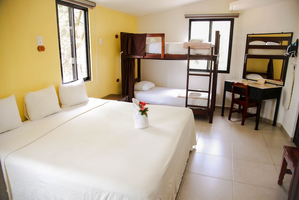 Standard Room, 1 Bedroom, Non Smoking photo 2