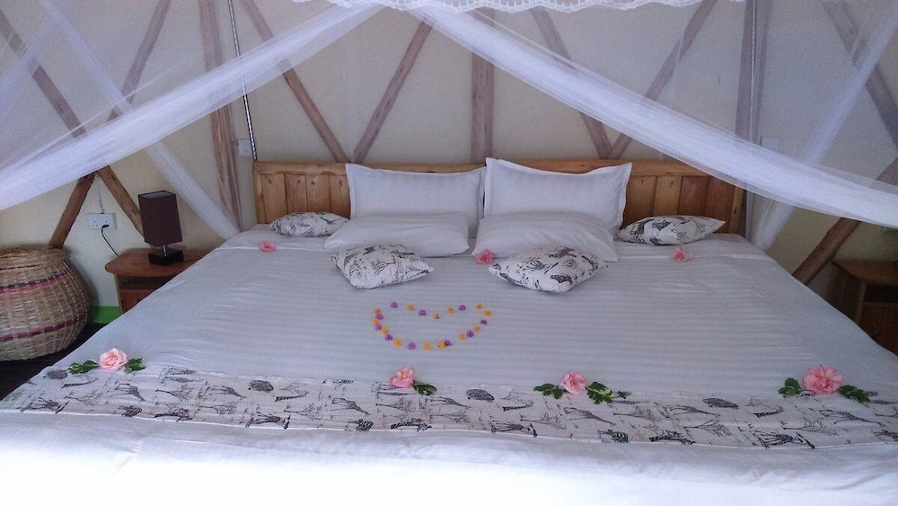 Luxury Single Room photo 1