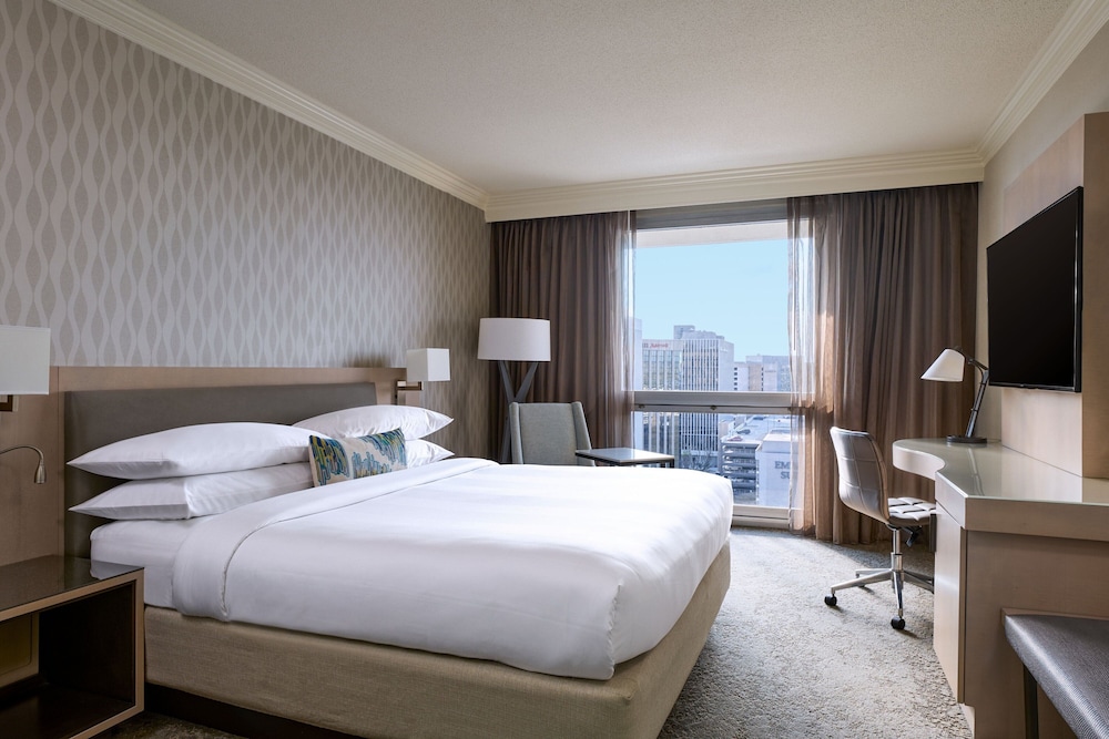 Suite, 1 Bedroom thumbnail 6