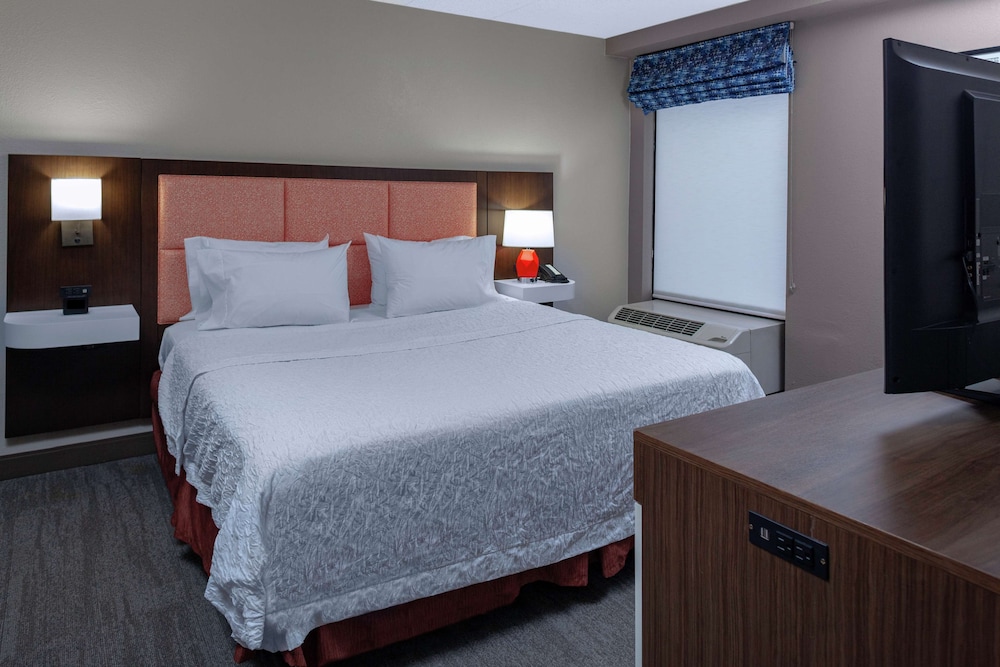 Suite, 1 King Bed, Non Smoking, Kitchen - Photo 4