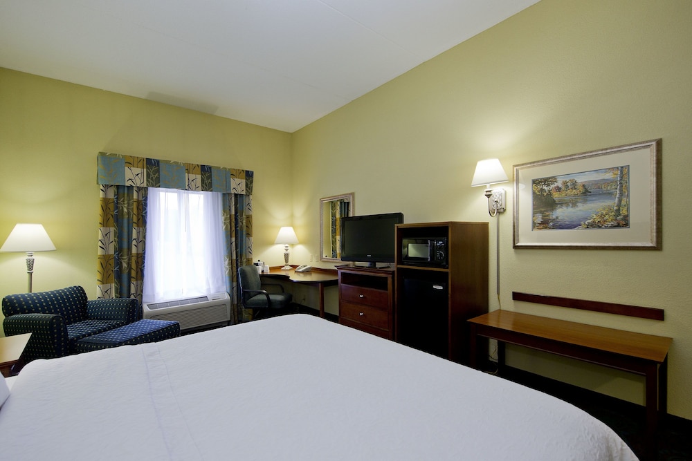 Room, 1 King Bed, Accessible - Photo 3