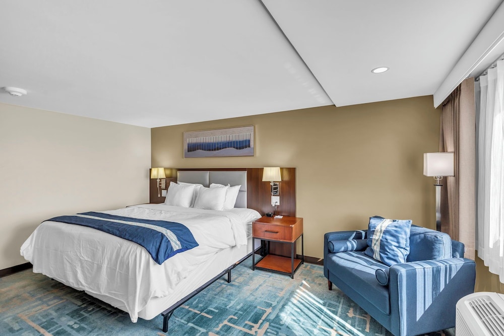 Comfort Single Room, 1 King Bed photo 2