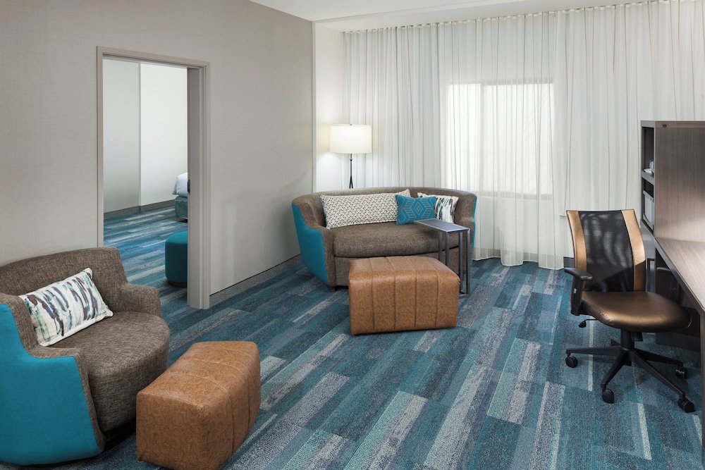 Suite, 1 King Bed with Sofa bed