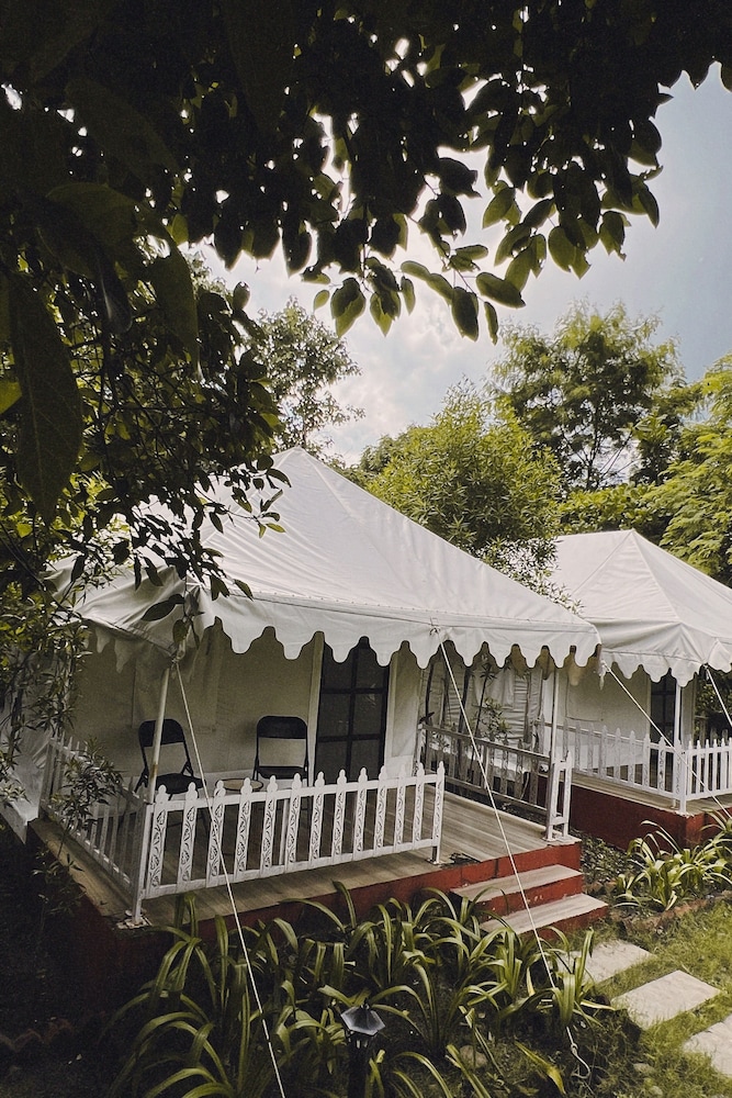 Classic Tent photo 3