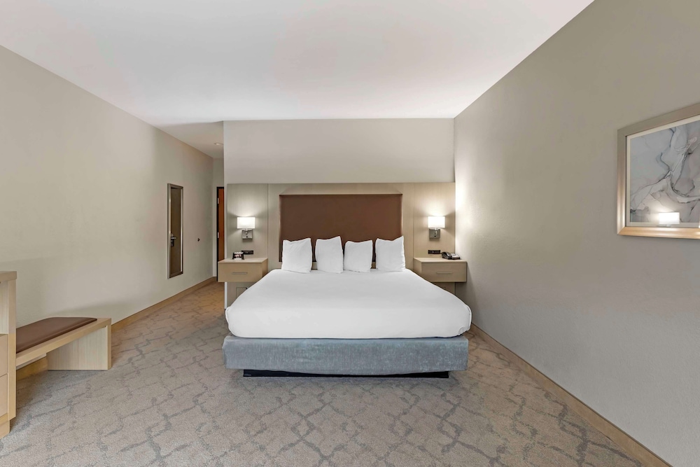 Standard Room, 1 King Bed, Non Smoking, Refrigerator & Microwave - Photo 1