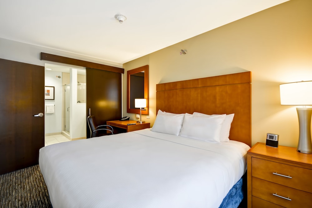 Suite, 1 King Bed with Sofa bed, Accessible (Roll-In Shower)