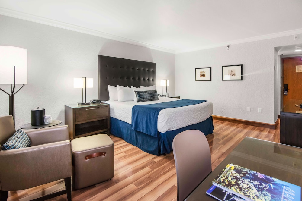 Deluxe King Bed - Photo 4