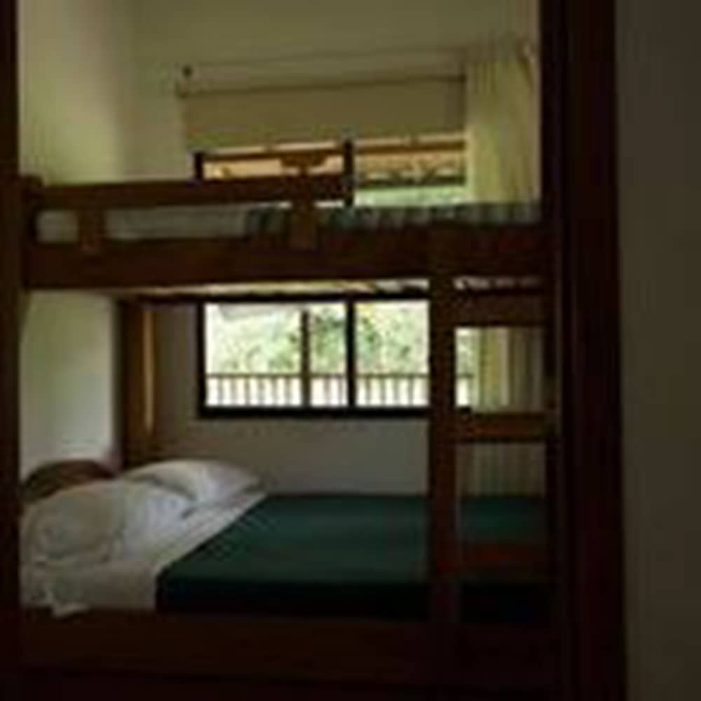 Traditional Room, Multiple Beds, Non Smoking, Courtyard View (2)