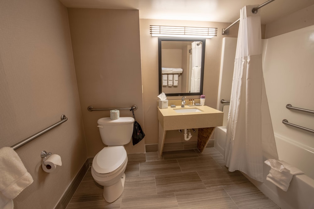 Standard Room, 1 King Bed, Accessible - Photo 5