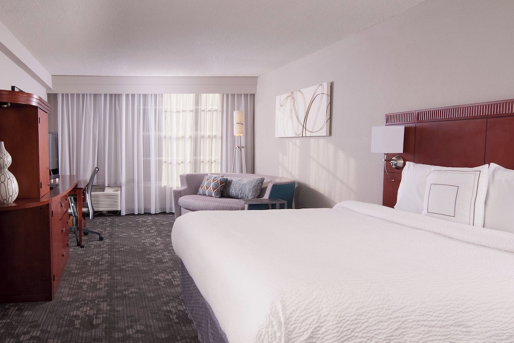 Room, 1 King Bed
