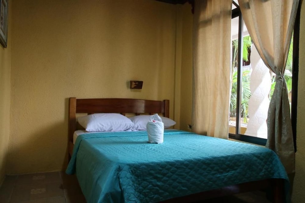 Basic Double Room photo 2