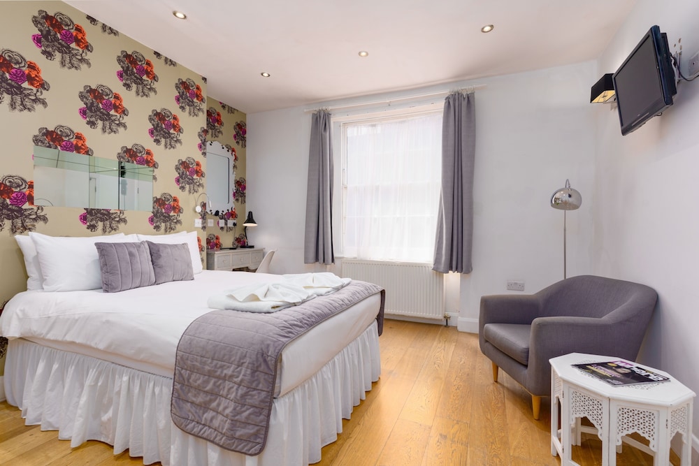 Pimlico Basement Room photo 1
