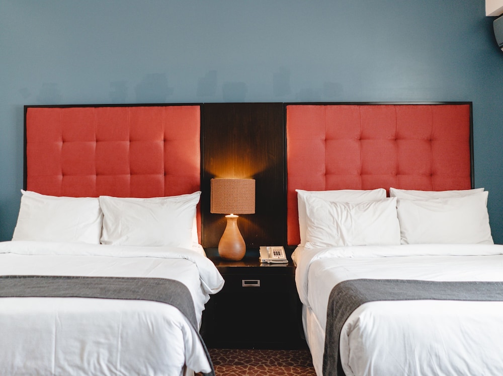Junior Suite, 2 Double Beds - Photo 2