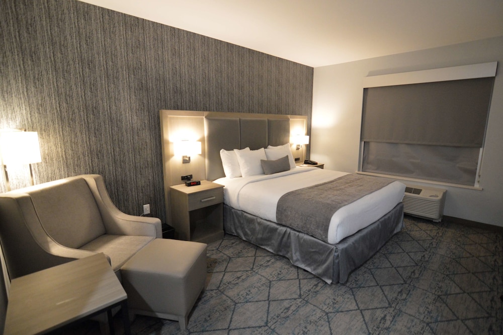 Standard Room, 1 King Bed, Accessible, Kitchenette (Walk-in Shower) - Photo 1