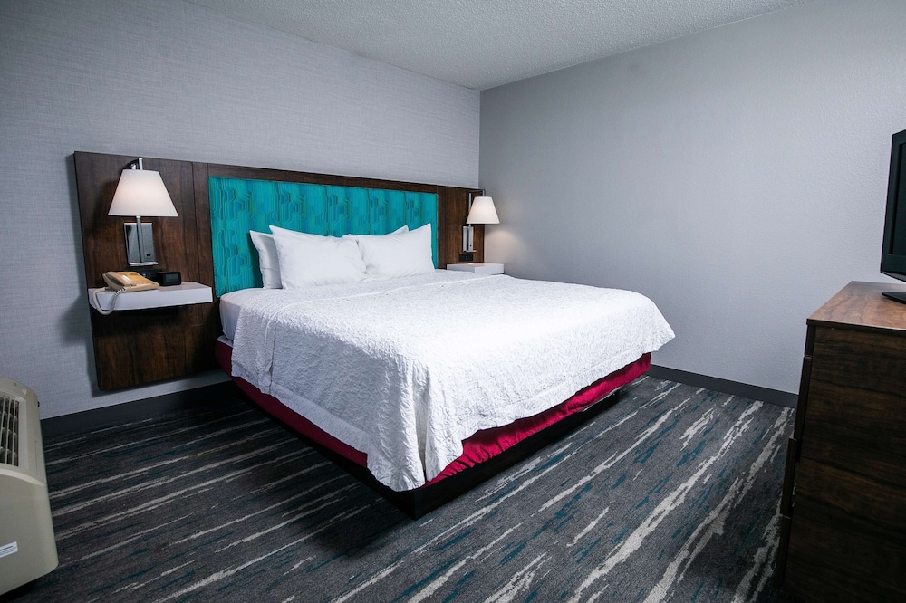 Suite, 1 King Bed, Non Smoking - Photo 1