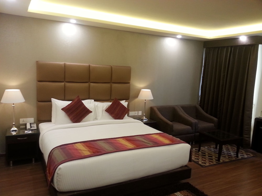 Room, 1 King Bed, Accessible photo 3