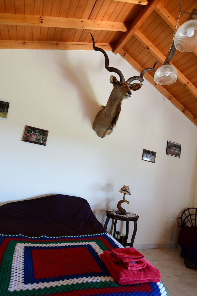 Exclusive Double Room photo 2