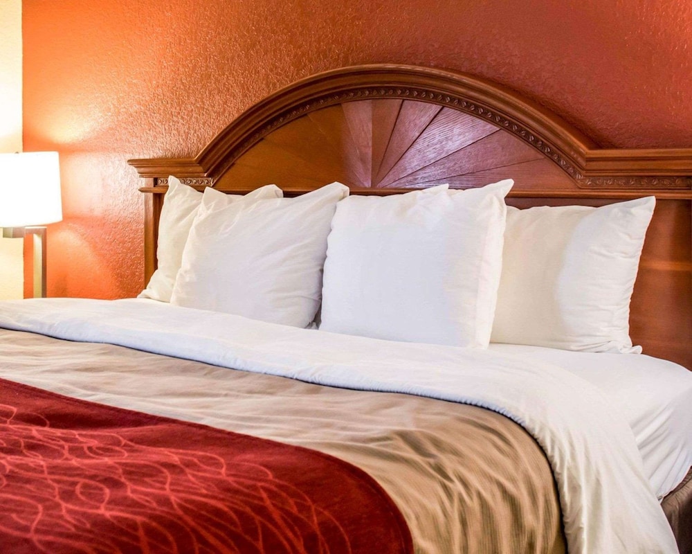 Suite, 1 King Bed, Non Smoking - Photo 2