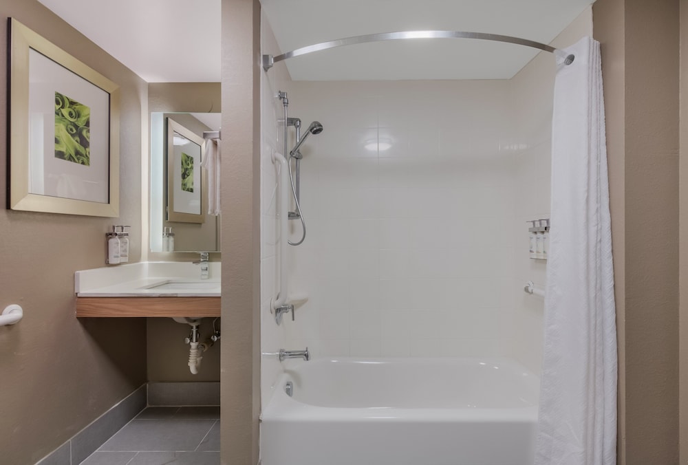 Studio Suite, 1 Queen Bed, Accessible, Kitchen - Photo 5