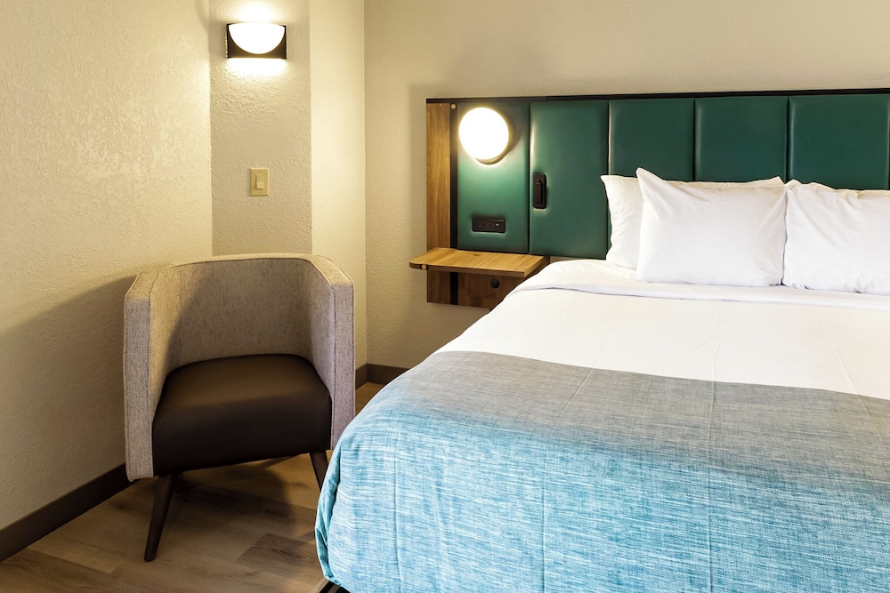 Room, 1 Queen Bed, Accessible, Non Smoking (Mobility/Hearing, Roll-In Shower) - Photo 14
