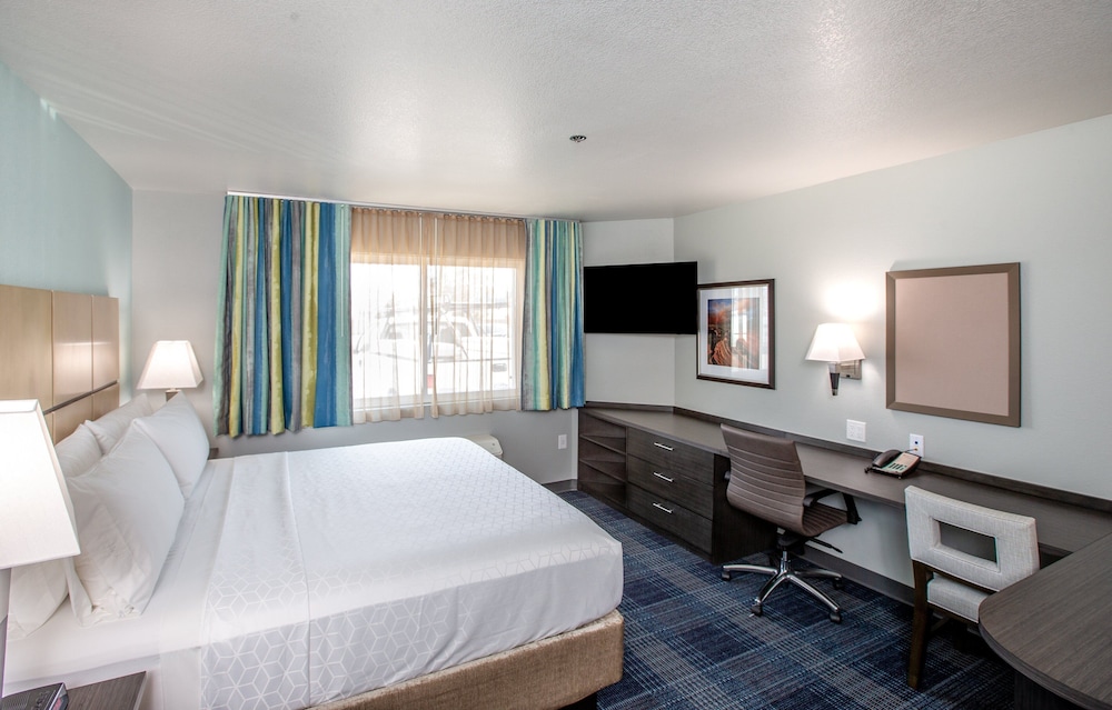 Studio Suite, 1 King Bed, Accessible (Mobility, Roll In Shower), photo 6