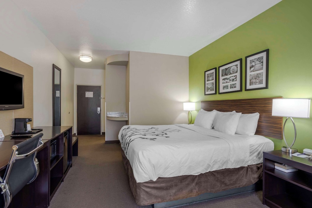 Suite, 1 King Bed with Sofa bed, Accessible, Non Smoking - Photo 4