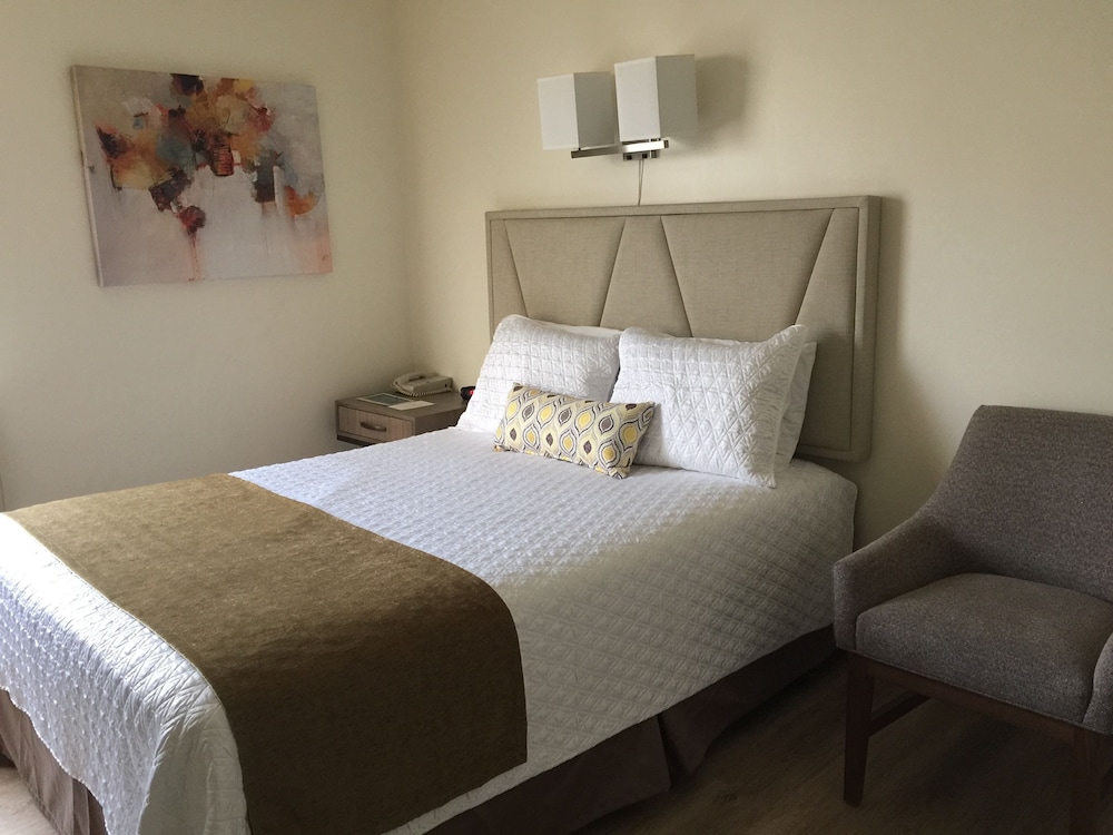 Deluxe Room, 1 Queen Bed, Refrigerator & Microwave photo 3