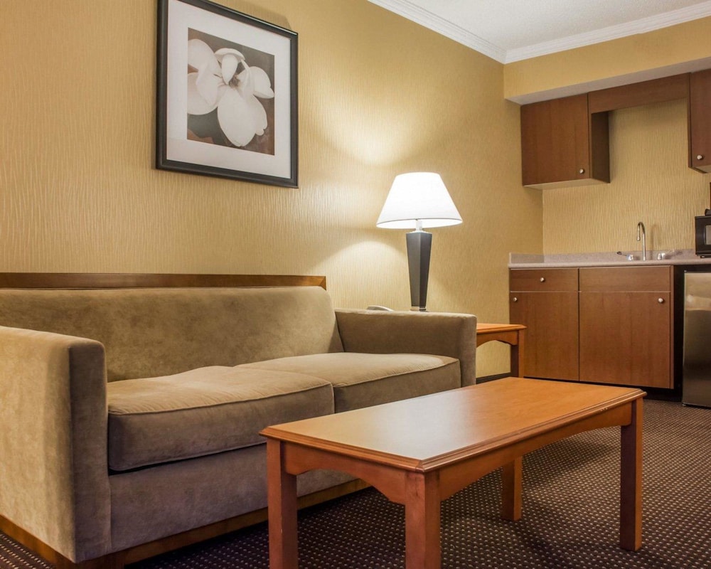Suite, 1 King Bed with Sofa bed, Non Smoking photo 2