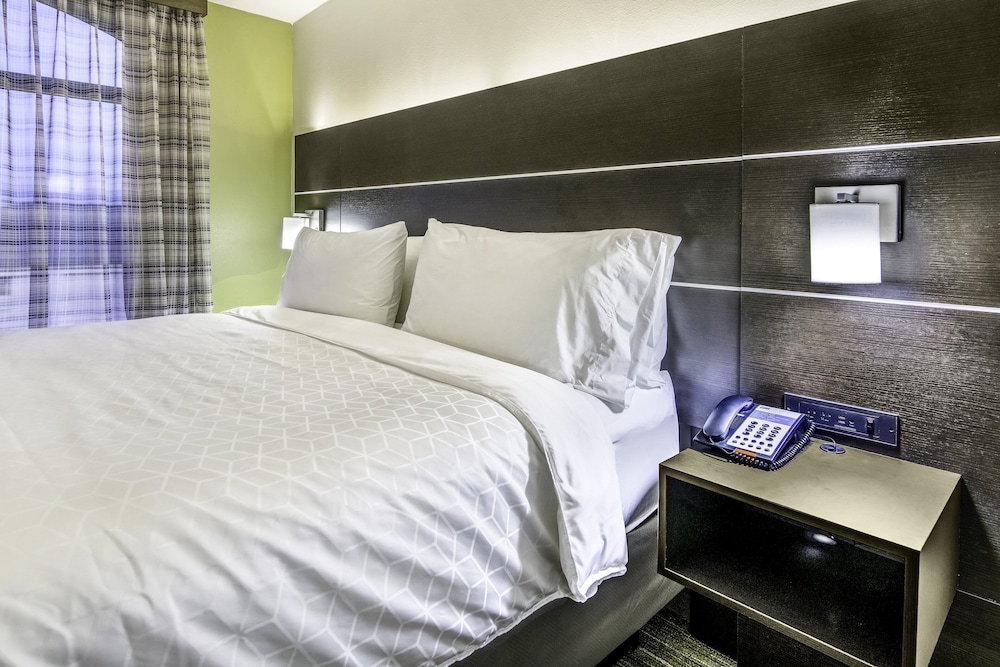 Suite, 1 King Bed - Photo 3