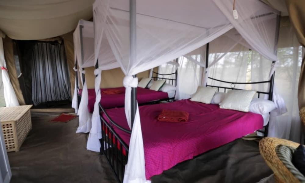 Standard Single Room photo 2