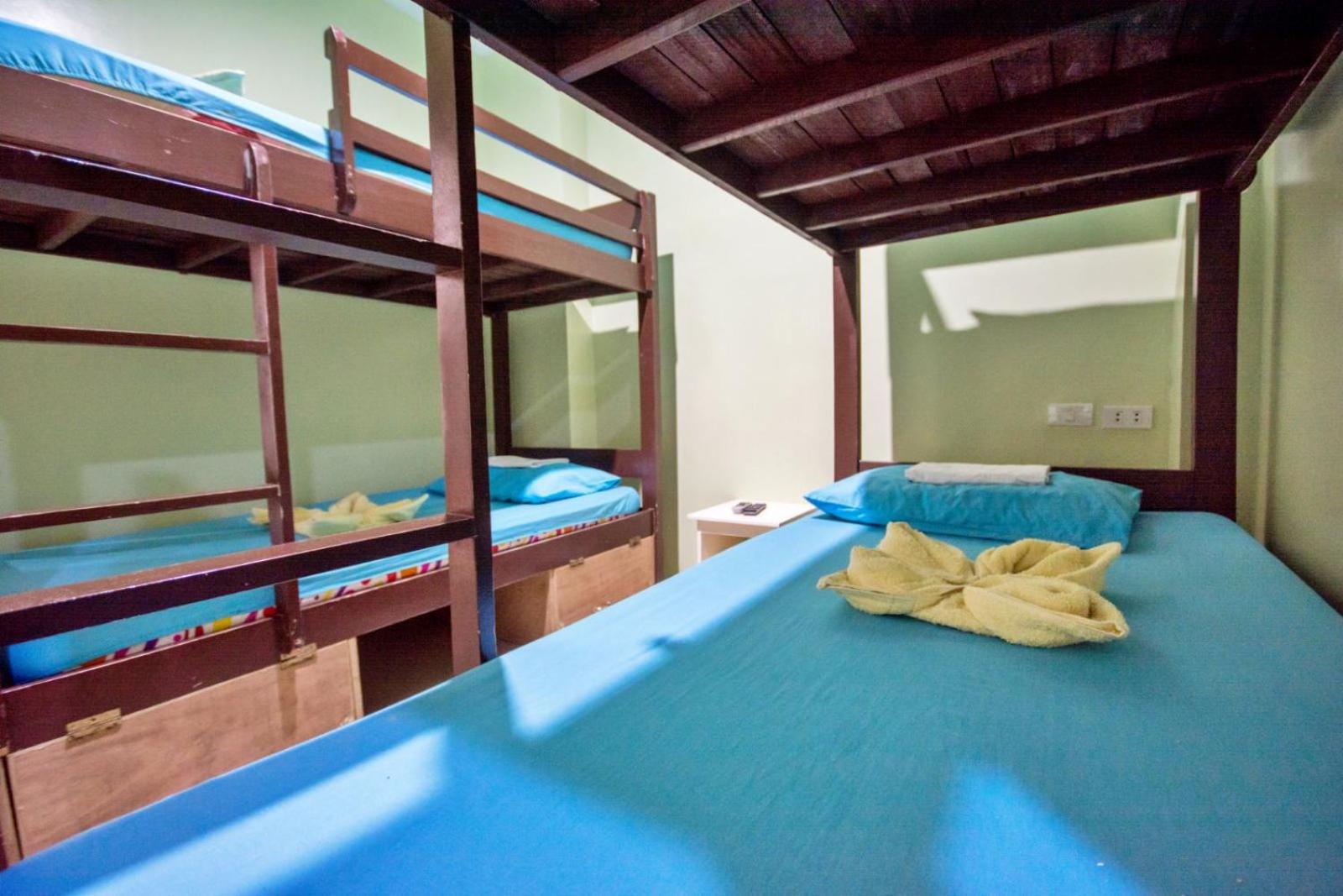 Bed in 8-Bed Mixed Dormitory Room photo 1
