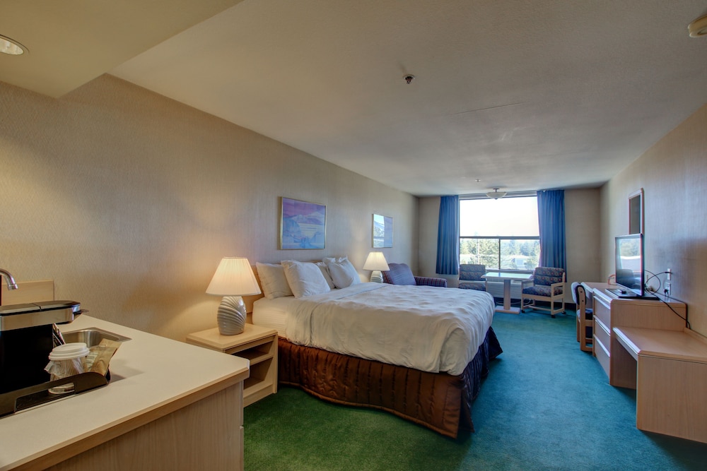 Standard Room, 1 King Bed (Pet Friendly) photo 2