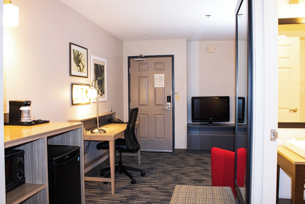 Suite, 1 Bedroom, Non Smoking - Photo 4