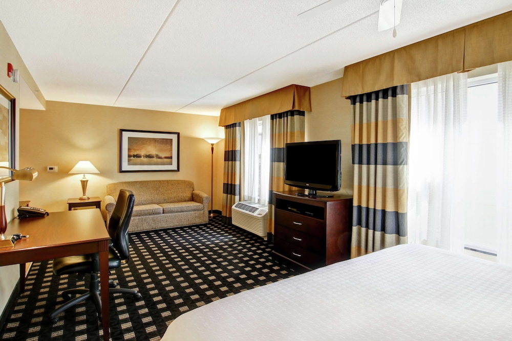 Premium Studio, 1 King Bed, Non Smoking
