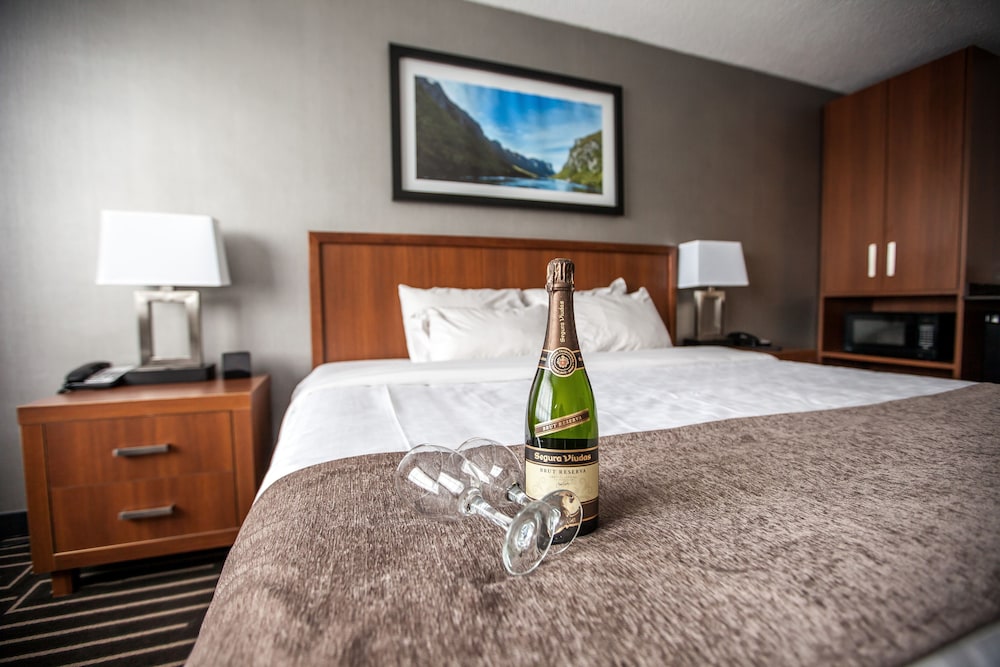 Standard Room, 1 King Bed, City View photo 1