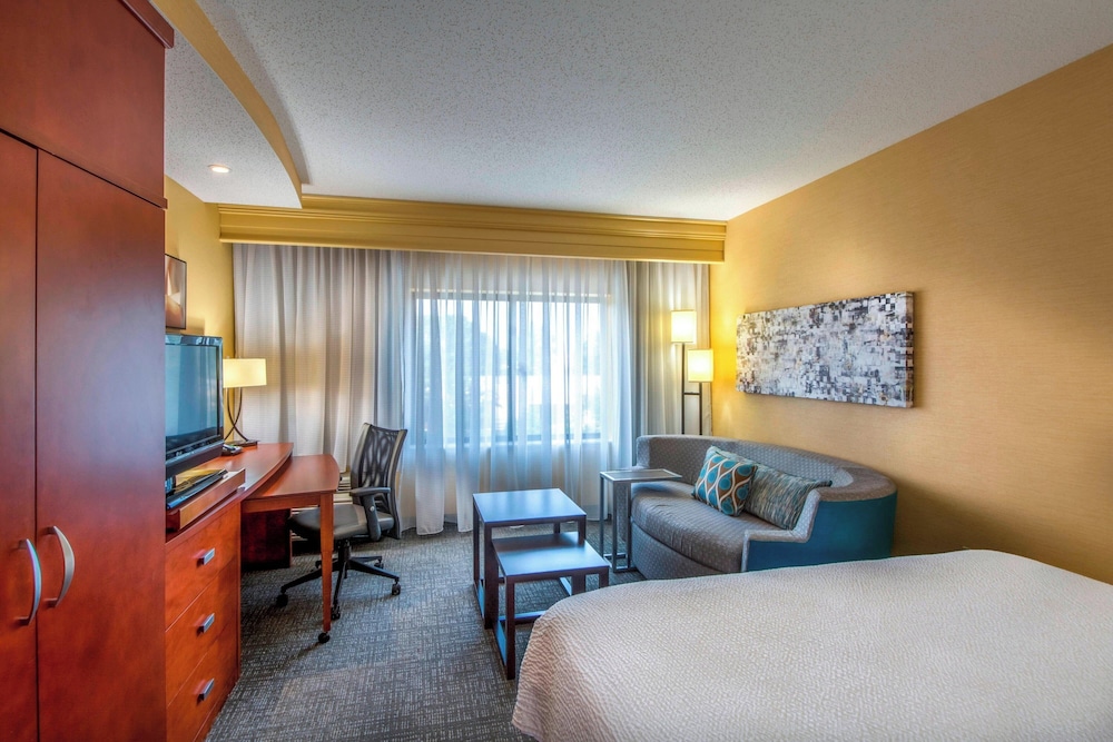 Room, 1 King Bed with Sofa bed (Hearing Accessible) photo 1